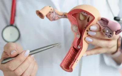 Tus ovarios no se apagan del todo en menopausia